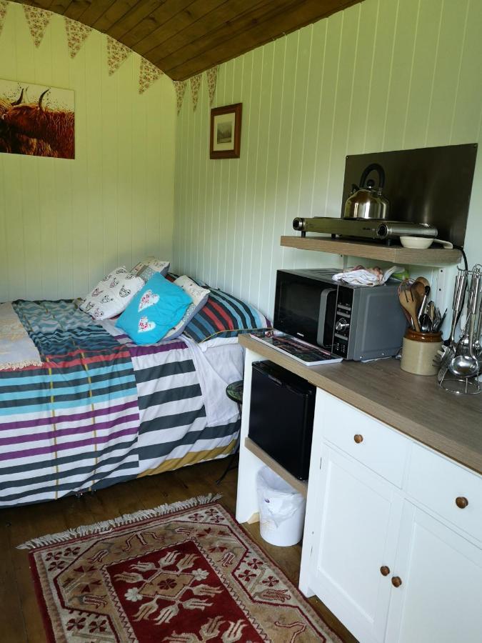 Shepherds Hut Dolly Wagon Keswick  Exterior photo